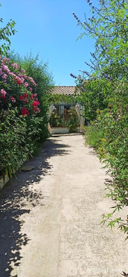 Secret Garden - Chez Gilles Et Tra - Maison D Hote -T2 Super Mignon, Neuf Et Independant , Dans Cadre Agreable Et Zen Valergues 외부 사진